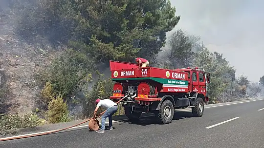 Karayolunda çıkan yangın ormana sıçradı