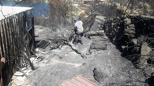 Yangın sonrası tehlike oluşturan ağaçlara müdahale edildi