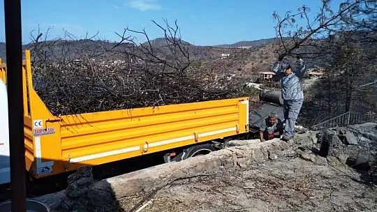 Yangın sonrası tehlike oluşturan ağaçlara müdahale edildi