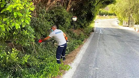 Yangın sonrası tehlike oluşturan ağaçlara müdahale edildi