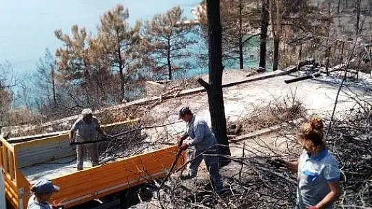 Yangın sonrası tehlike oluşturan ağaçlara müdahale edildi