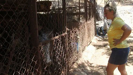 Yeliz Yeşilmen çocukları ile Yörük müzesini gezdi