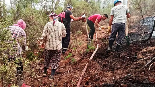 Yeşil Vatan'ın 'Nene Hatunları'
