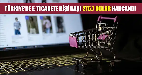 Türkiye'de e-ticarete kişi başı 276,7 dolar harcandı