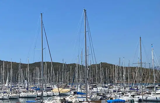 Arıkan 'Koylar şahısların olamaz'