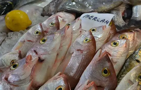 Balık fiyatları cep yakıyor