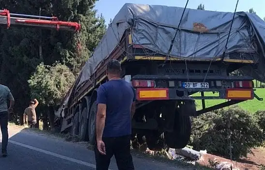 Balık yemi yüklü tır devrildi, sürücüsü yaralandı