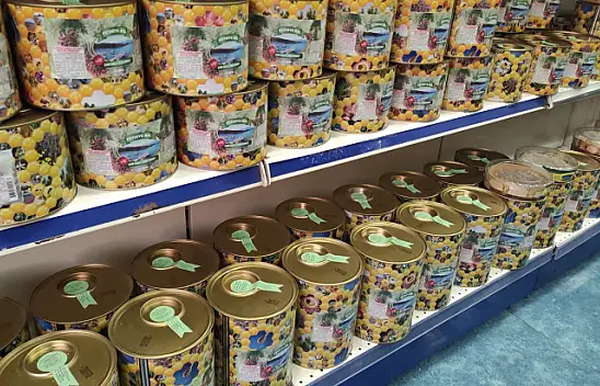 Çam balında kayıp yıl