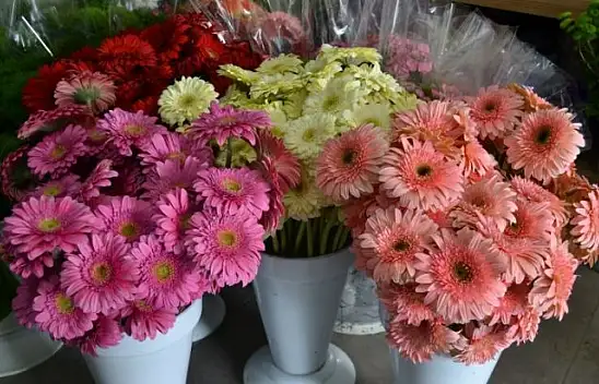 Çiçekçiler 14 şubat'a hazır