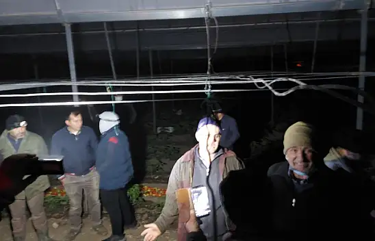 Çiftçilerin odun isyanı