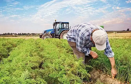 ÇKS KAYITLARINDA YENİ DÜZENLEME