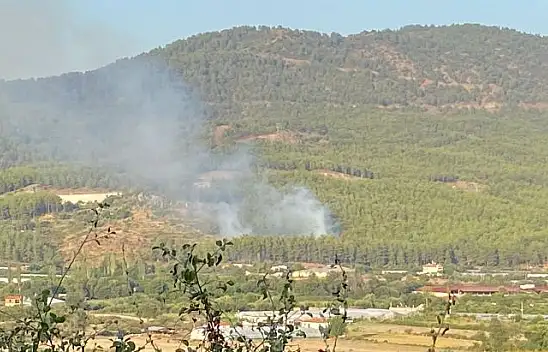 DALAMAN'DA ORMAN YANGINI KORKUTTU