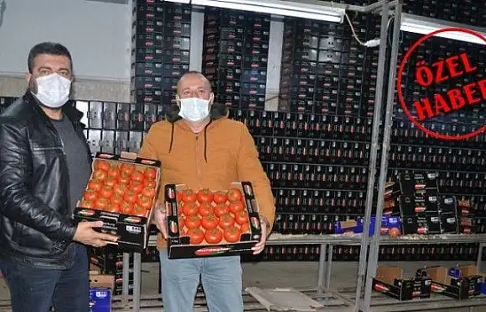 Domateste kota artışı fiyatlara yansıdı mı?