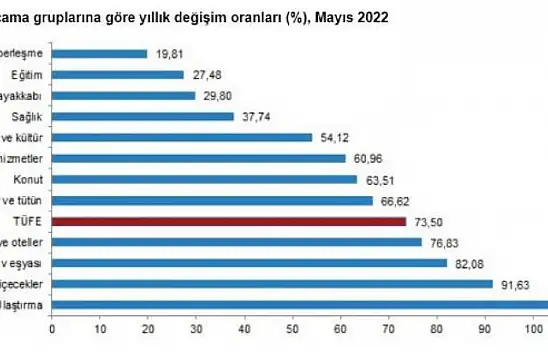 Enflasyon rakamları açıklandı