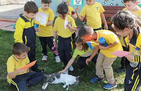 Geçici Hayvan Bakımevi Minik Misafirlerini Ağırladı