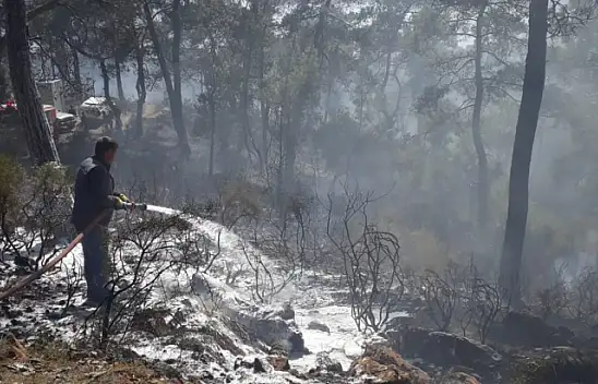 Göcek'te korkutan yangın