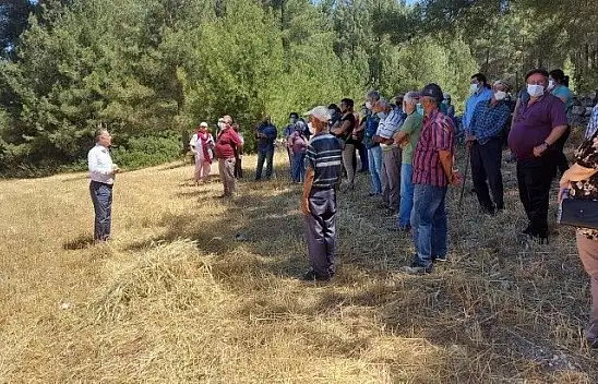 İkizköy Akbelen Ormanı  hem Muğla'nın hem de Türkiye'nin sorunudur!