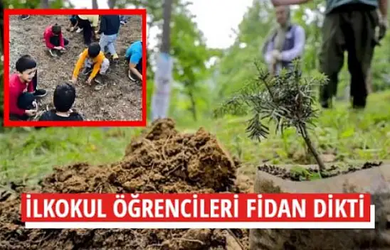 İLKOKUL ÖĞRENCİLERİ FİDAN DİKTİ