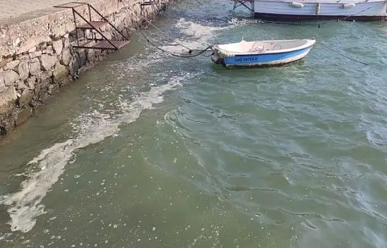 Körfezde istenmeyen görüntüler!