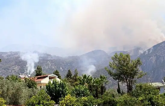 Köyceğiz orman yangını devam ediyor