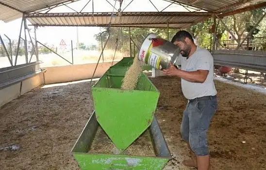 Kurbanlık Satışlarında Yoğunluk Başladı