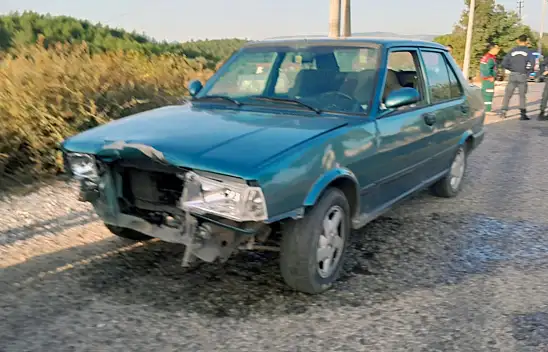 Otomobil, 4 keçiyi telef etti