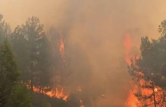 Seydikemer yangını devam ediyor