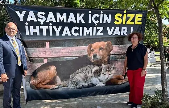 Sokak Hayvanları İçin Bir Araya Geldiler