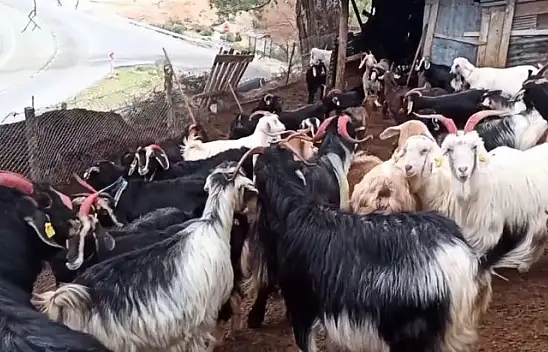 TESPİT VE GÜNCELLEME ÇALIŞMALARI DEVAM EDİYOR