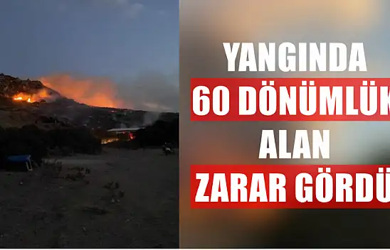 Yangında 60 dönümlük alan zarar gördü