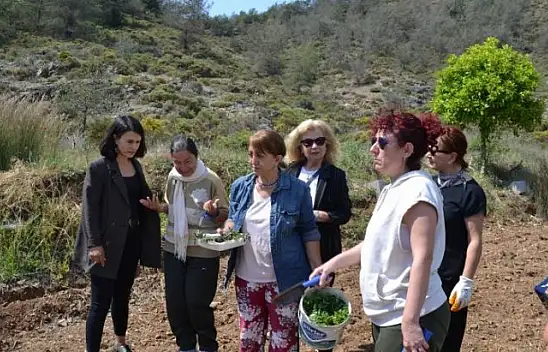 Yaşlılar fidan dikti