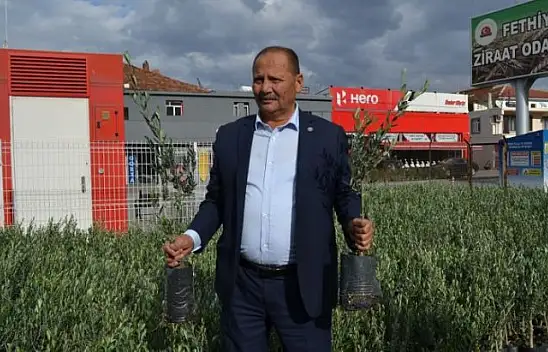 Ziraat Odası'ndan zeytin satışı