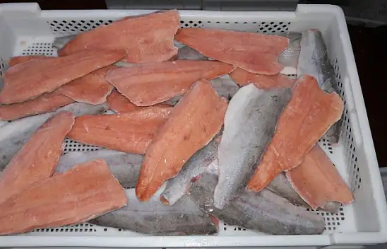 Amerika'nın Kırmızı Alabalıkları Fethiye'den