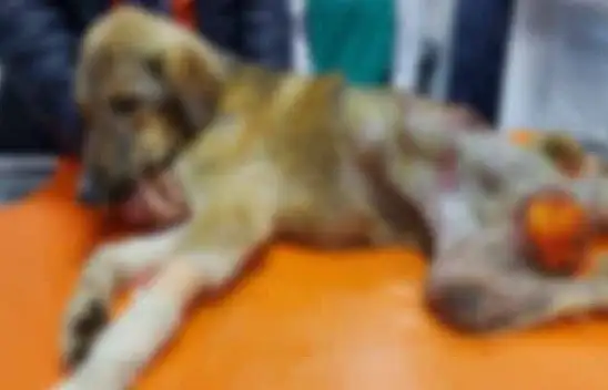 Asıl olan yaşatmak