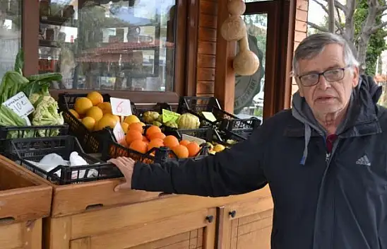 Ata tohumunu piyasaya çıkardılar