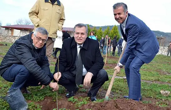 Bizim bahçe projesi hayata geçti