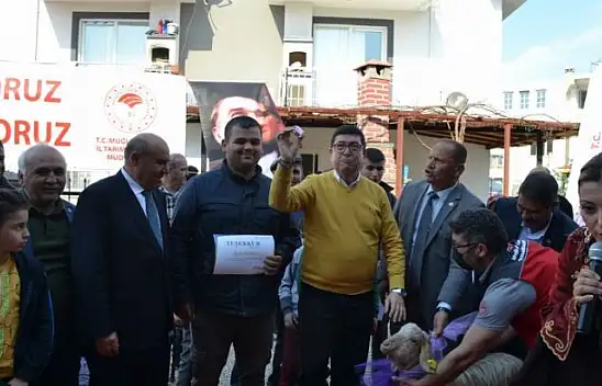 Buzağılar güzellik için podyumdaydı