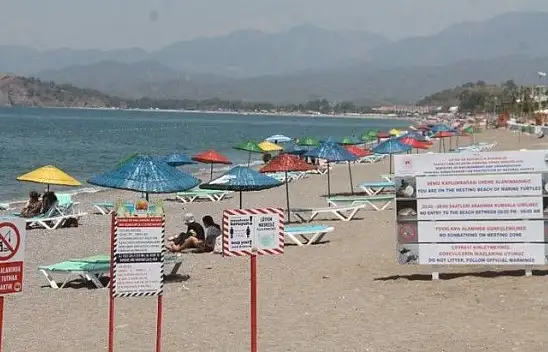 Caretta Caretta Kaplumbağaları'nın Yavru Çıkış Dönemi Başladı