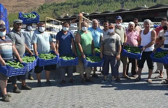 ÇİFTÇİLER İSYANDA SALATALIK BAŞKA ŞEHİRDE 2.50, FETHİYE'DE 80 KURUŞ