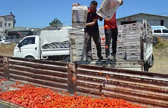 Domatesin Kasası 1 Tl