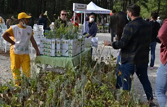 Fethiye'de 5 bin fidan toprakla buluştu