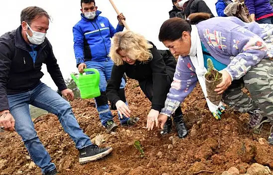 Fidan dikimi etkinliğine yoğun ilgi
