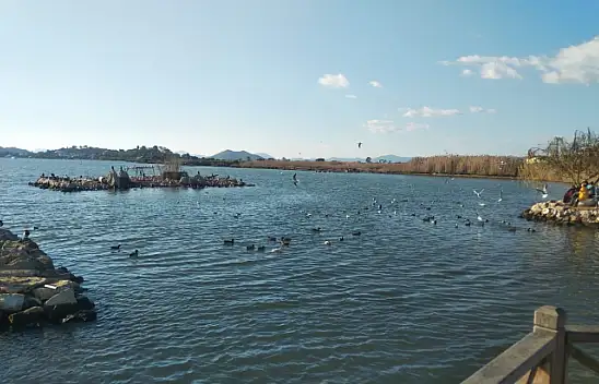 Güzel hava ördeklere yaradı