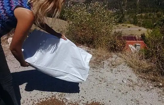 Hayvan Kurtarma Ekibi Lideri FRT TV Mikrofonuna Konuştu