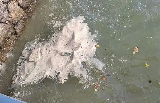 Körfezde istenmeyen görüntüler!