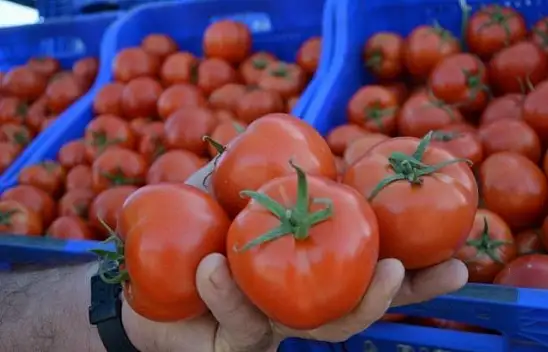 Rusya sebze ithalatını arttırıyor