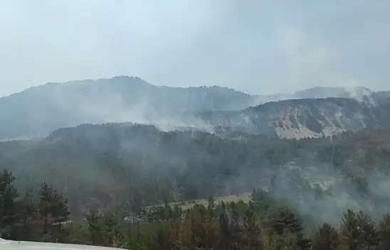 Yangın Bodrum'da kontrol altına alındı