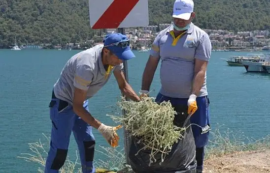 Yarımada'da bayram sonrası temizliği