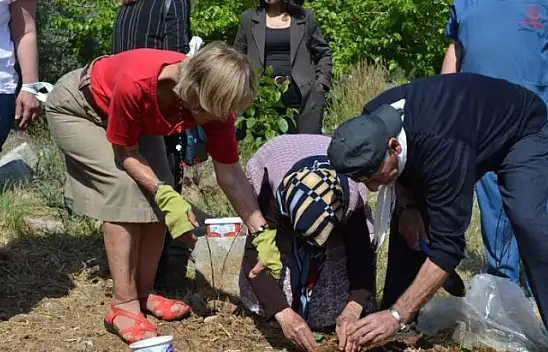 Yaşlılar fidan dikti