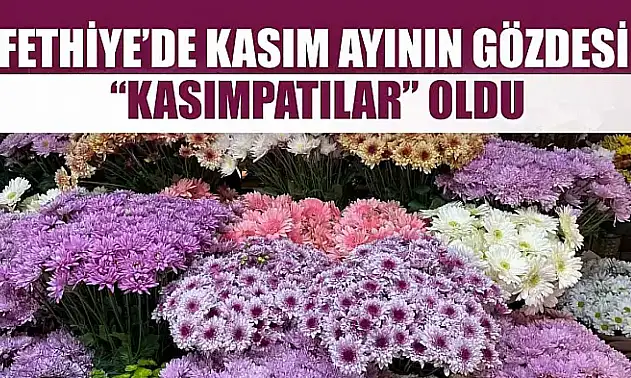 Fethiye'de Kasım ayının gözdesi 'Kasımpatılar' oldu